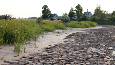 简述污泥脱水的操作技术要点